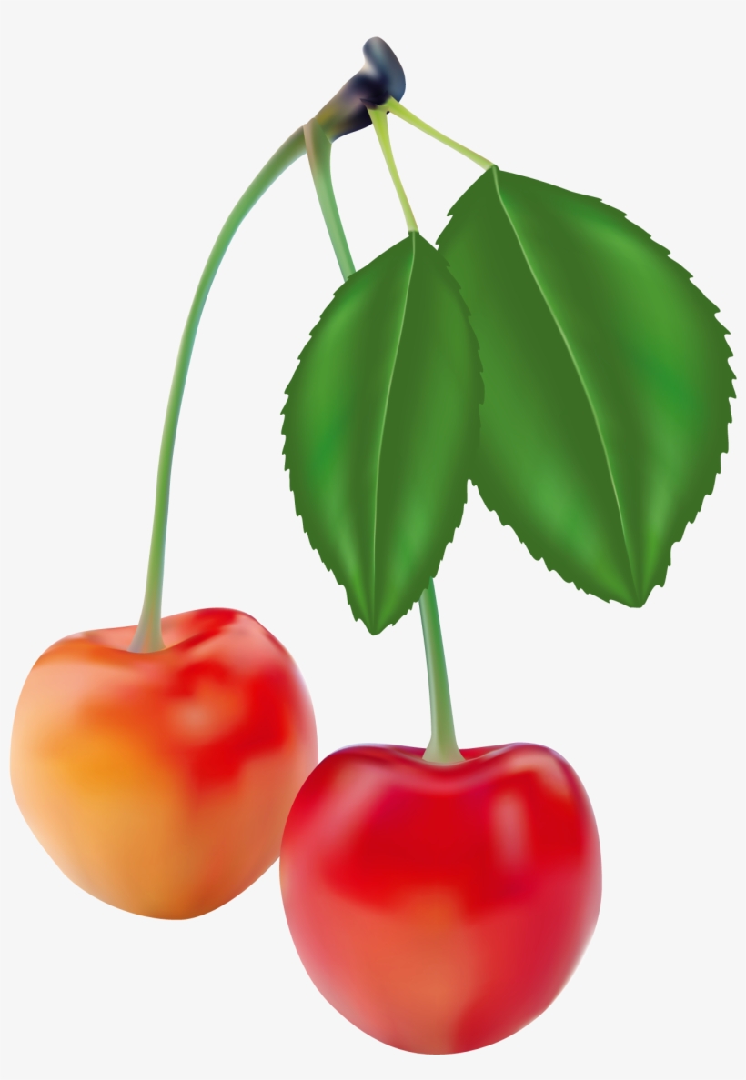 Cherries Clipart Picture - Set Of 5 Fruits, transparent png #511033