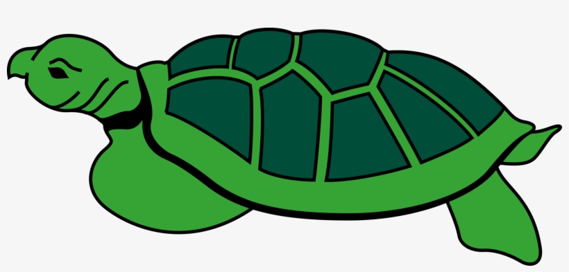 Animal Reptile Tortoise Turtle Tortoise To - Kura Kura Clipart, transparent png #511169