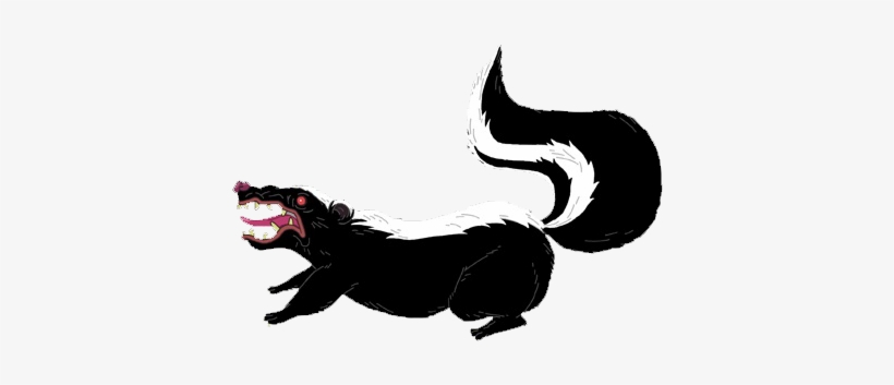 Skunk - Skunk Png, transparent png #511186
