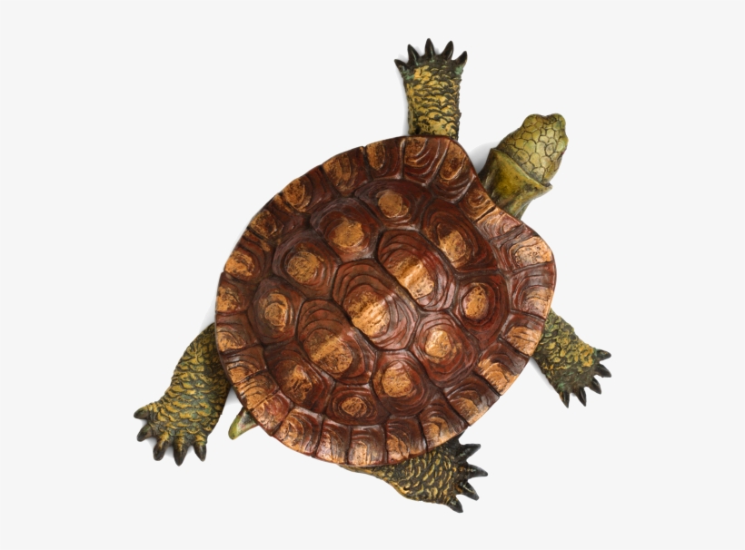 Mad Tortoise - Turtles Calendar 2015: 16 Month Calendar, transparent png #511223