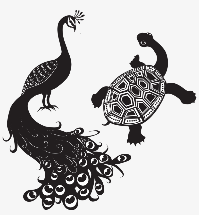 Peacock And The Tortoise, transparent png #511245