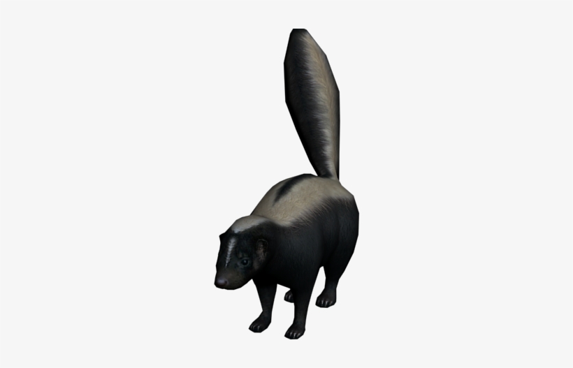 Skunk - Skunks, transparent png #511290