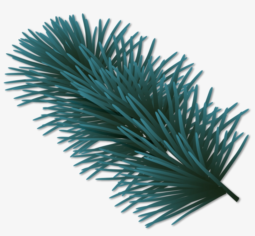 Pine Watercolor Png - Watercolor Painting, transparent png #511565