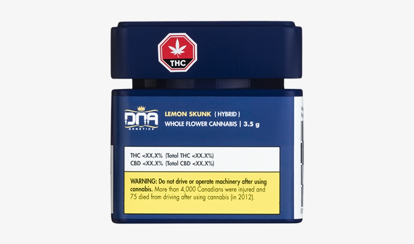 Lemon Skunk - Lemon Skunk - Skunk, transparent png #511639