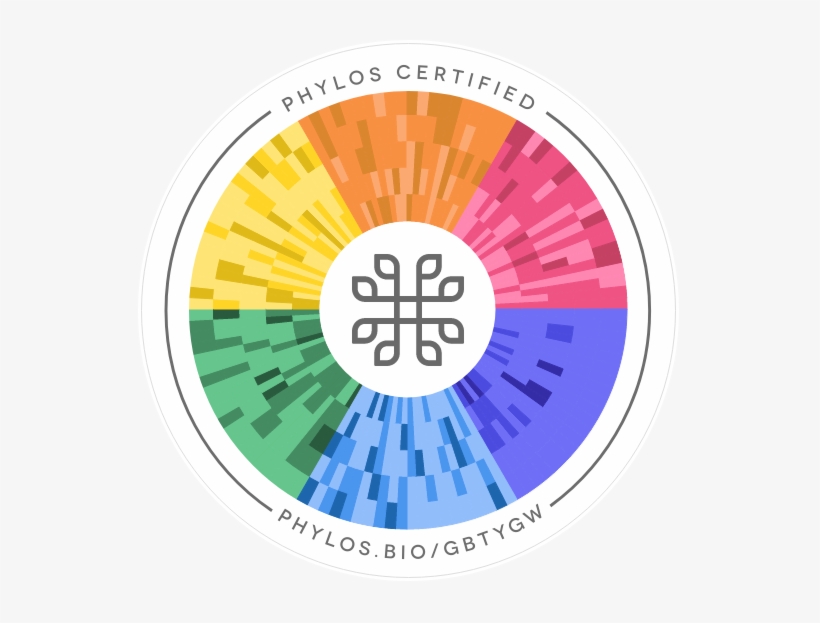 Skunk - Credit, transparent png #511699