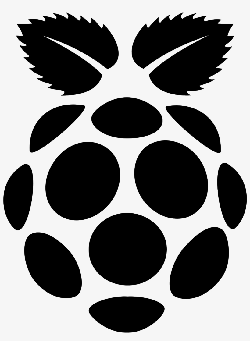 Raspberry Pi Filled Icon - Microsd Card Adapter To Sd, transparent png #511700