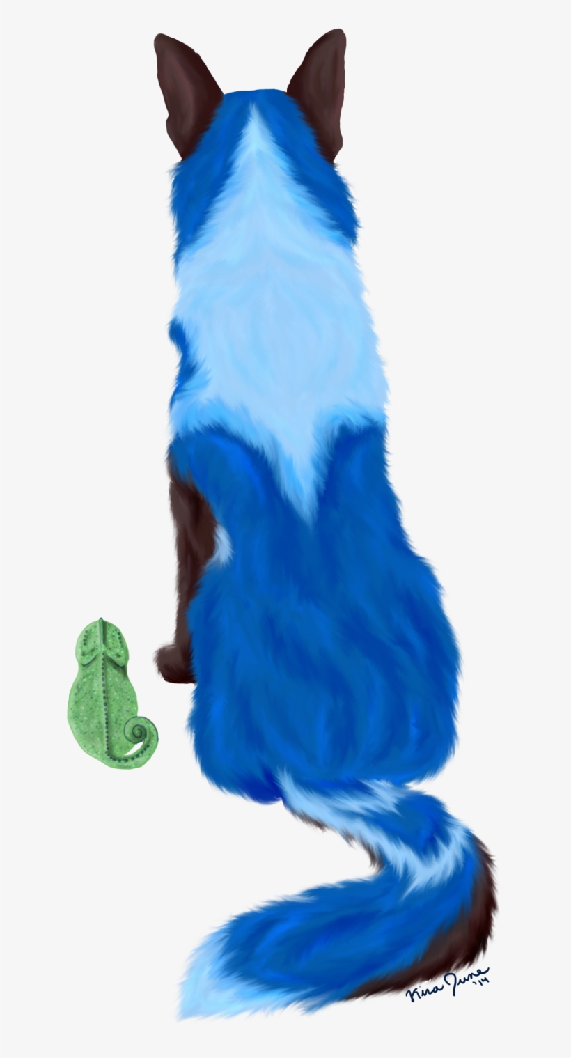 Picture - Squirrel, transparent png #511722