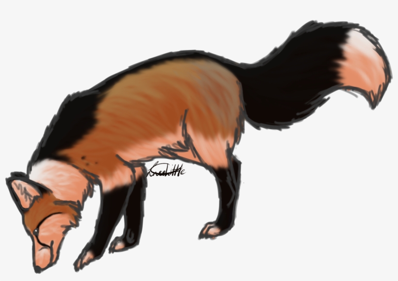 Tweelittle - Striped Skunk, transparent png #511851