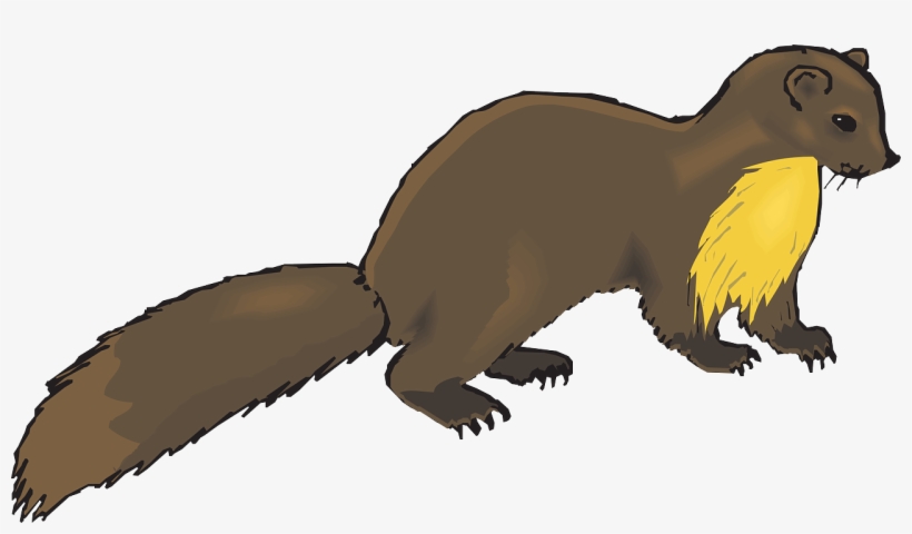 Animal Clip Art - Mink Clipart, transparent png #511874