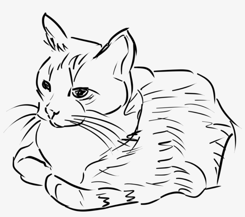 Cat Clip Art Black And White Clipart Download, transparent png #511996
