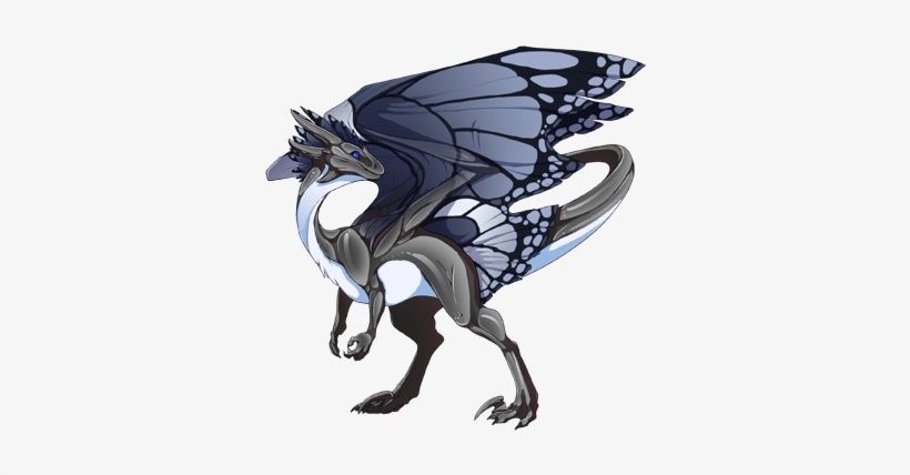 He's Not The Perfect Little Dream Dragon, But This - Anime Dragons, transparent png #512044