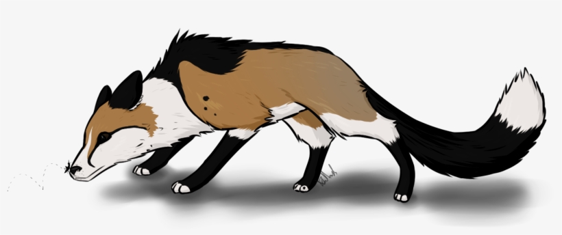 Kr1st1naa - Hog Nosed Skunk, transparent png #512070