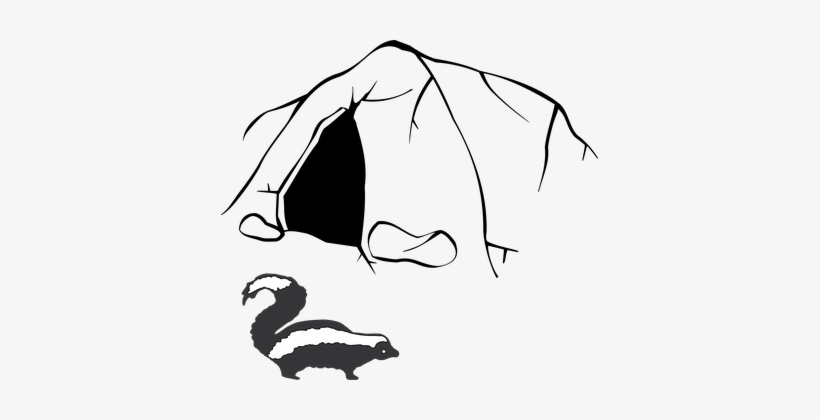Stinky, Skunk, Smell, Cave, Nature - Cave Clip Art, transparent png #512085