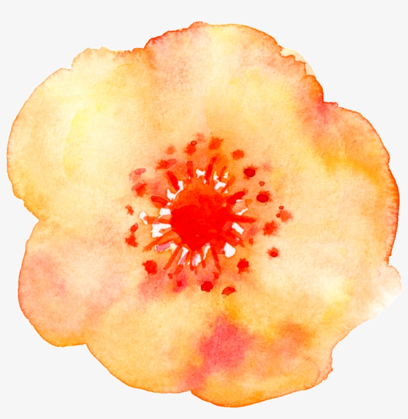 Watercolor Painting, transparent png #512152