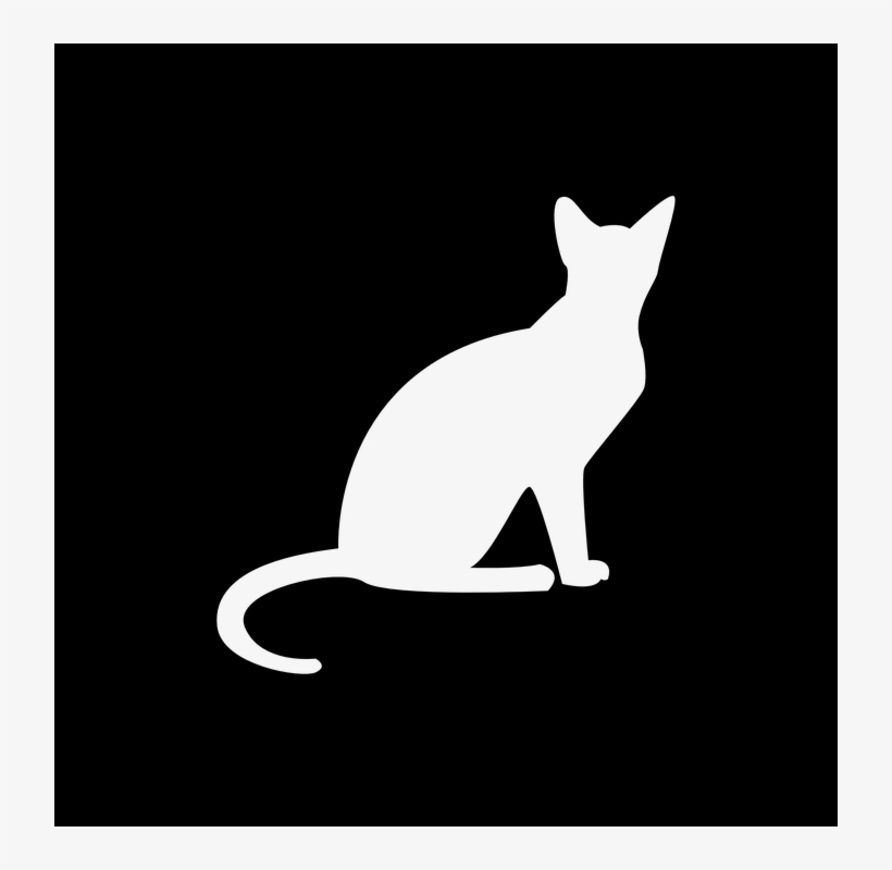 White Cat Silhouette Png Free Transparent Png Download Pngkey