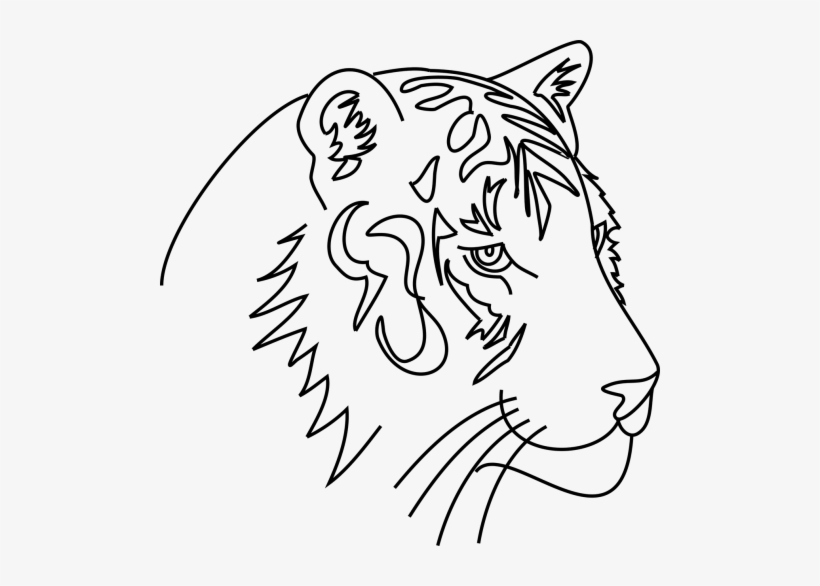 Tiger,cat,animal,feral Cat,vector,graphics,png - Hewan Grafis Png, transparent png #512294