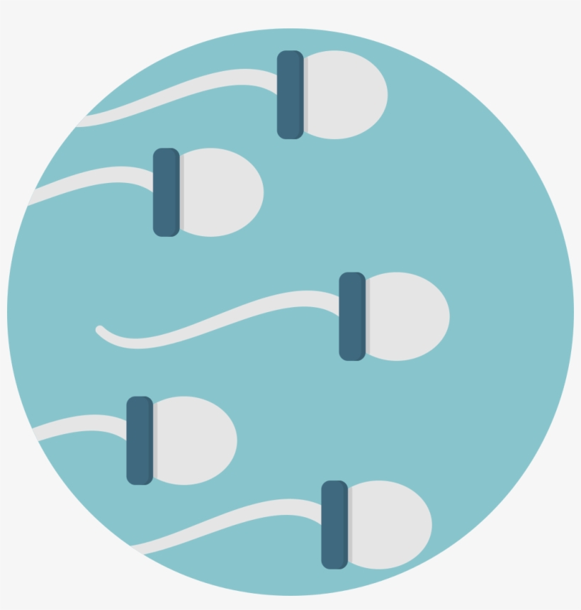 Creative Tail Sperm - Sperm Icon Png, transparent png #514877