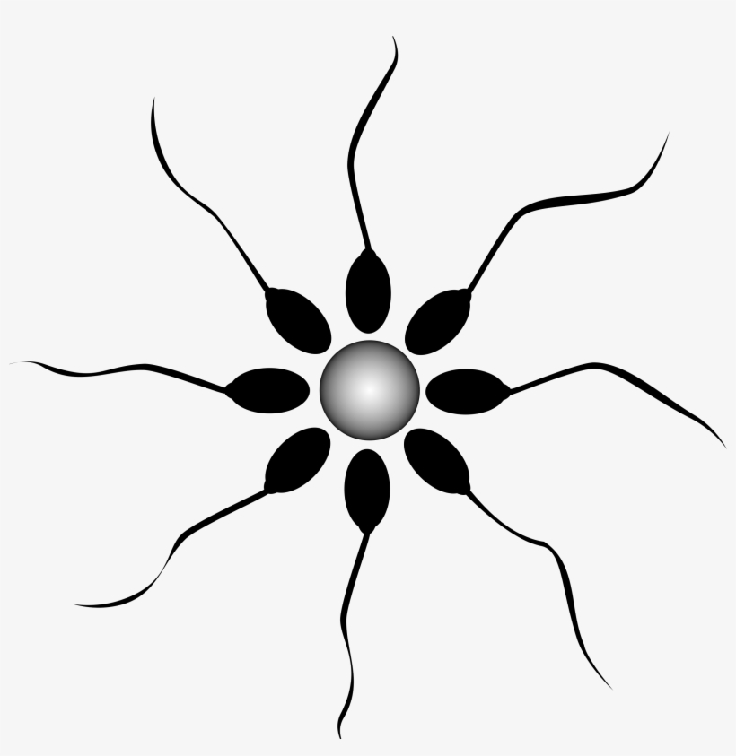 Sperm Png, transparent png #514924