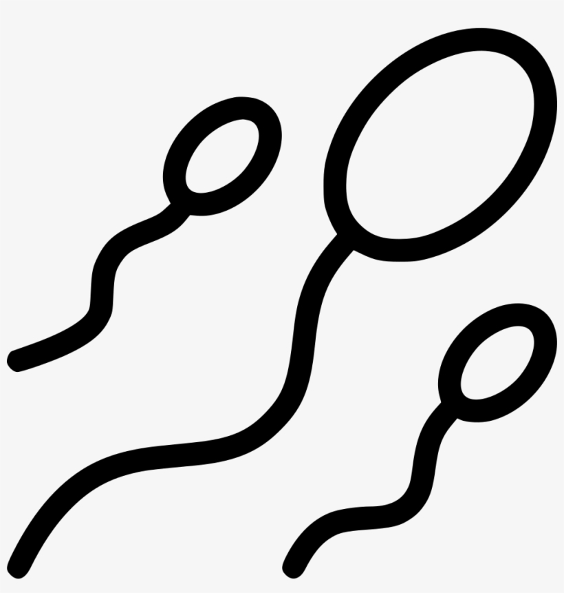 Png File - Spermatozoon, transparent png #515030