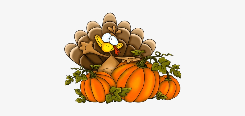 Thanksgiving Pumpkins Turkey - Free Thanksgiving Png, transparent png #515072