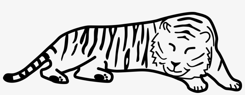 White Tiger Clipart Black And White - Cartoon Black And White Tiger, transparent png #515113
