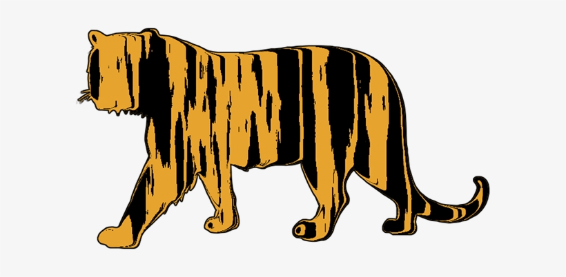 Nor Is My Tiger - Siberian Tiger, transparent png #515328