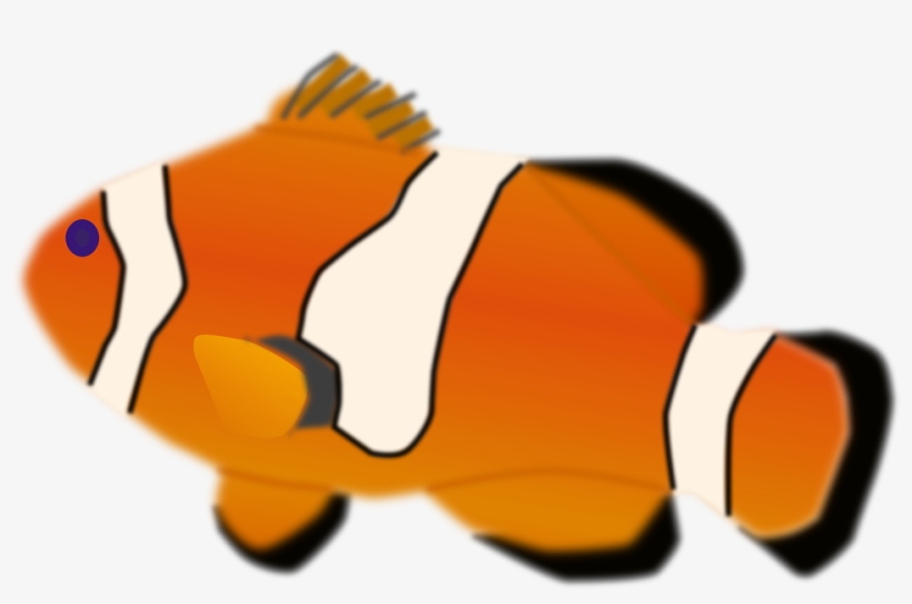 Illuminati Png Mlg - Custom Clown Fish Mugs, transparent png #515353