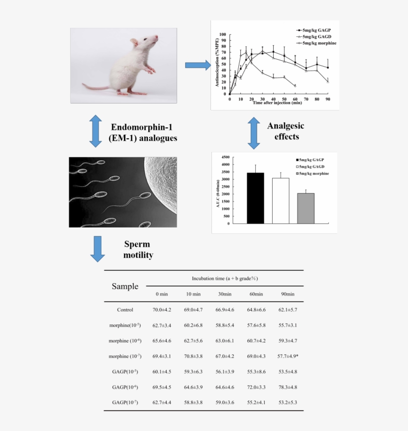 And Medicinal Chemistry Letters Reveals That Our Version - Diagram, transparent png #515356
