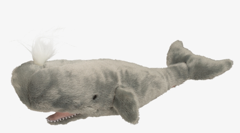 Douglas Splash Sperm Whale - Sperm Whale Plush Toy, transparent png #515445