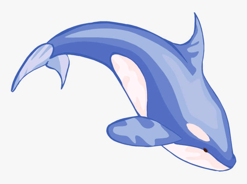 Sperm Whale Clipart Free Images - Clip Art Picture Of Whale, transparent png #515595