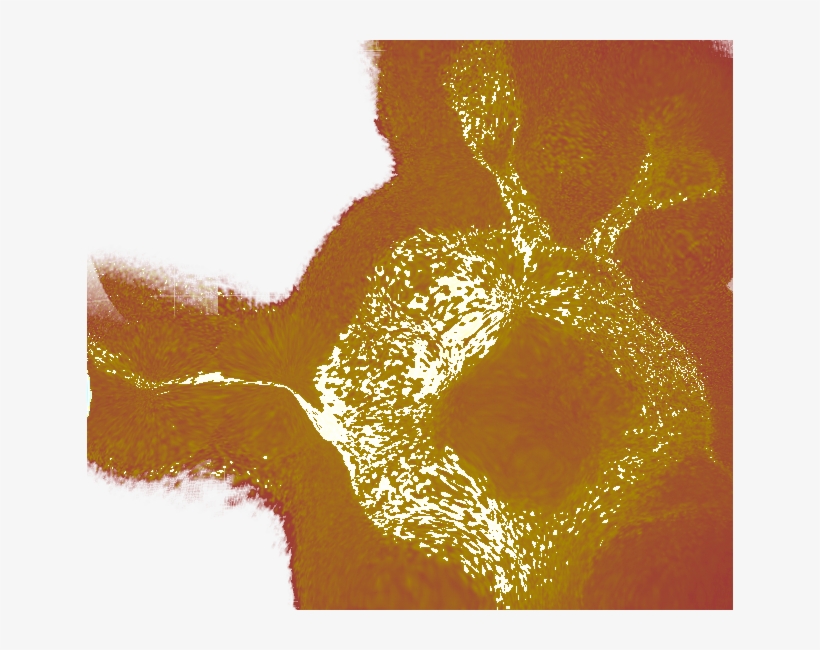 This Used To Be A Dabbing Emoji With Rabbit Ears - Rabbit, transparent png #515620