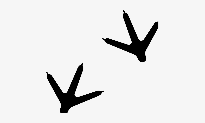 Turkey Tracks Clipart - Bird Track Clip Art, transparent png #515665