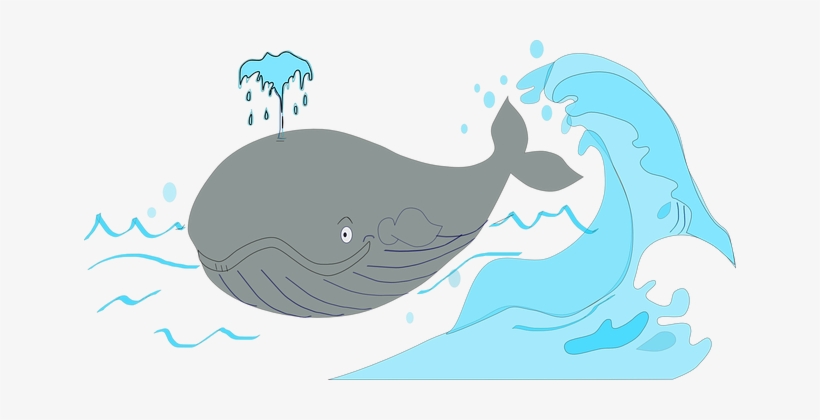 Whale Pot Whale Sperm Whale Cachalot Mamma - Ikan Paus Vektor Png, transparent png #515667