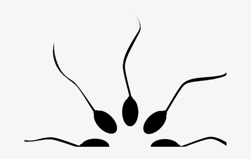 Sperm June 3, 2014off - Fertility, transparent png #515893