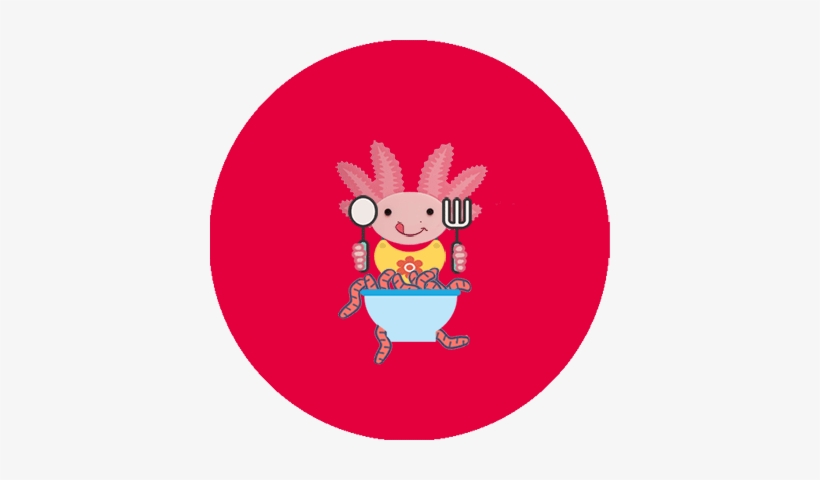 Axolotl Feeding - Axolotl, transparent png #515920