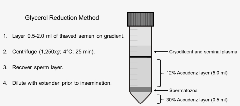 Protocols/rooster Protocol Figure - Communication Protocol, transparent png #515995