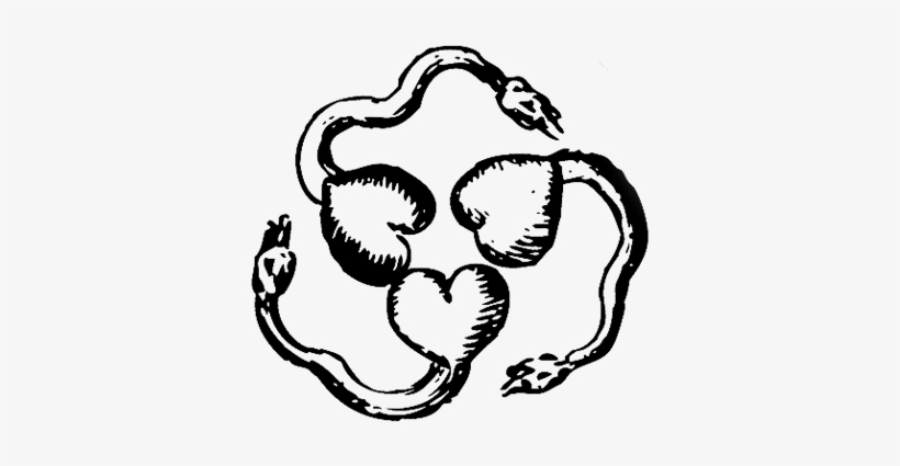 Trinacria Of Sperm/ Three Principles - D Stolcius Von Stolcenberg, transparent png #516044