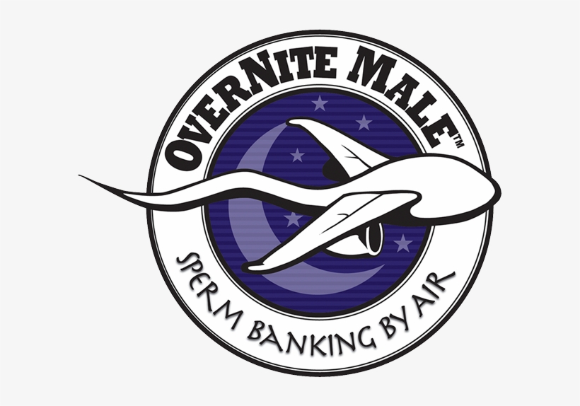 The Most Convienient Way To Bank Your Sperm - Semen Collection, transparent png #516142