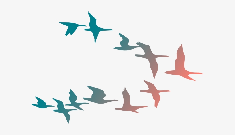 Png Transparent Download Bird Flying Clipart - Colorful Flying Birds Png, transparent png #517126