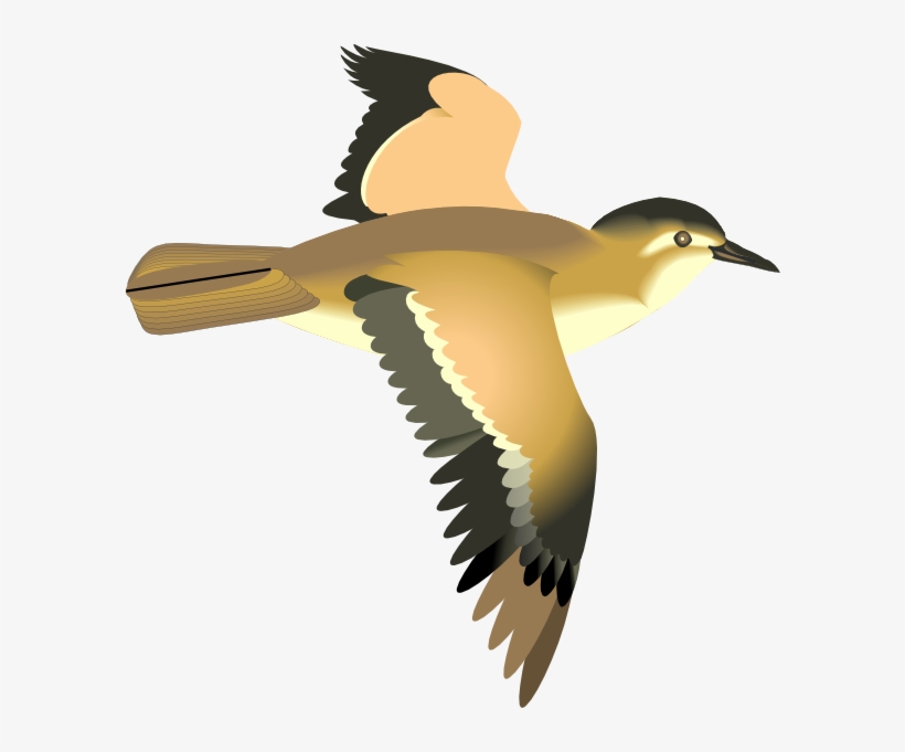 Flying Bird Clip Art At Clker - Transparent Clipart Flying Bird, transparent png #517159