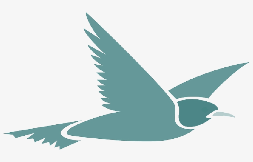 Mb Image/png - Flying Bird Cartoon Transparent Background, transparent png #517231