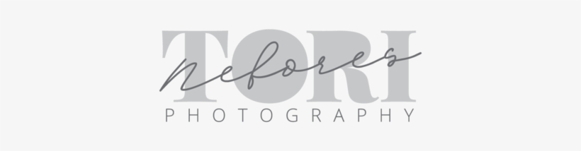 Maryland Wedding Portrait Photographer - Calligraphy, transparent png #517543