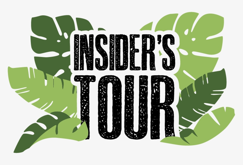 Insider's Guided Tour - Jesus Christ Superstar, transparent png #517632