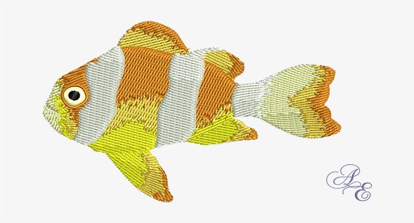 Clarky Clown Fish - Art, transparent png #517856