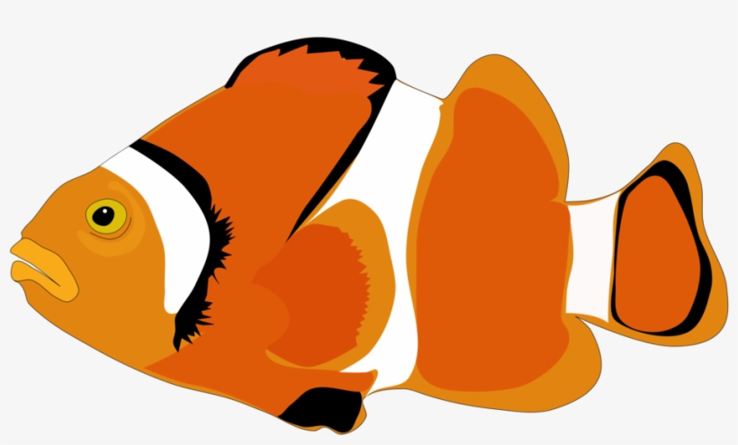 Clownfish Cartoon Computer Icons - Cartoon Fish Png, transparent png #518042