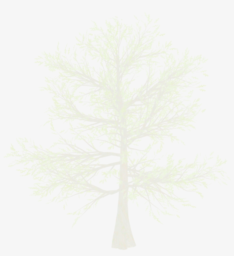 Snow White Pine Tree Png By Mysticmorning On Deviantart - Art Print: Justdd's Fantasy Landscape, 61x46cm., transparent png #518732