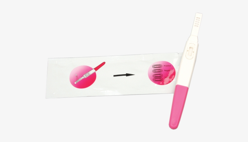 Pregnancy Test Hcg - Toothbrush, transparent png #519127
