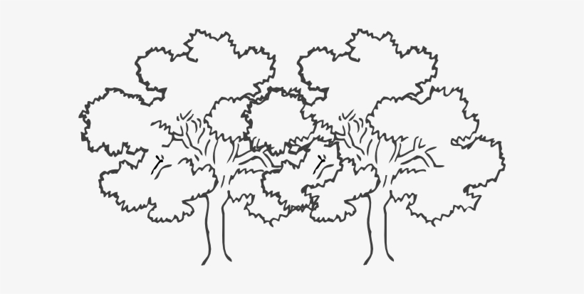 Bare Tree Clipart Black And White Png - Trees Black And White Clip Art, transparent png #519204