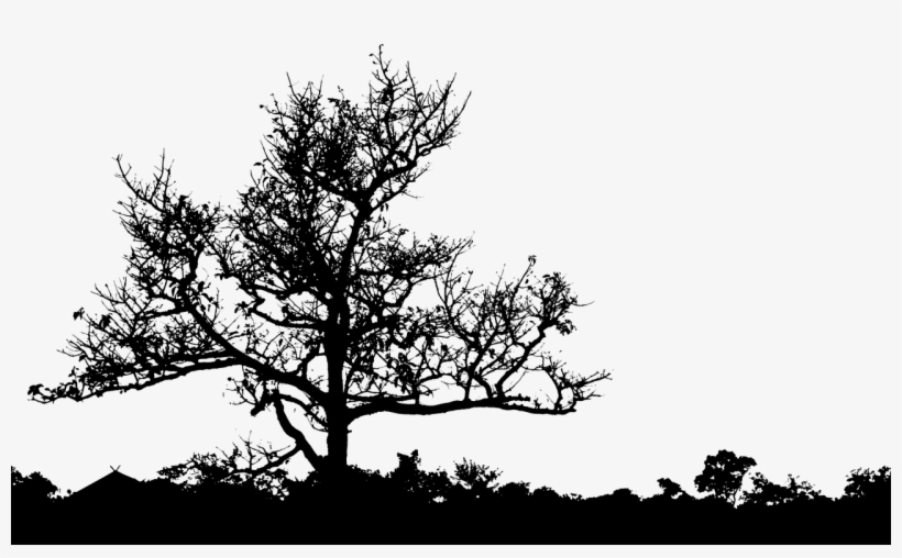 Barren Landscape Leafless - Landscape Silhouette Black And White, transparent png #519313