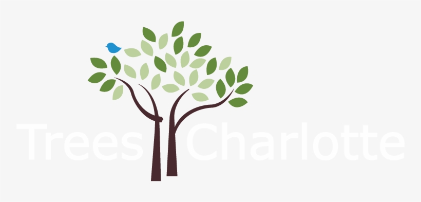 Treescharlottelogo-white 2b - Trees Charlotte - Free Transparent PNG ...